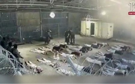 Report: Sexual Torture of Palestinian Prisoners Institutionally Mandated