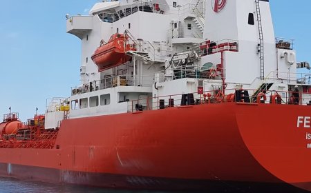 Beyli Shipping evolves from family business to international chemical powerhouse