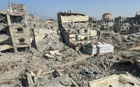 Germany resumes arms exports to Israel amid rights outcry