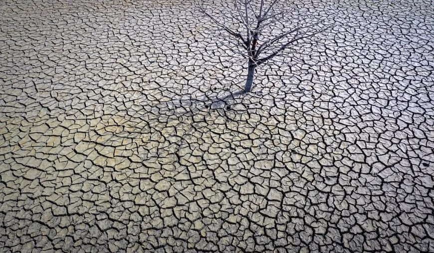 Istanbul and Izmir Water Crisis Deepens: Why Aren't We Desalinating Seawater?