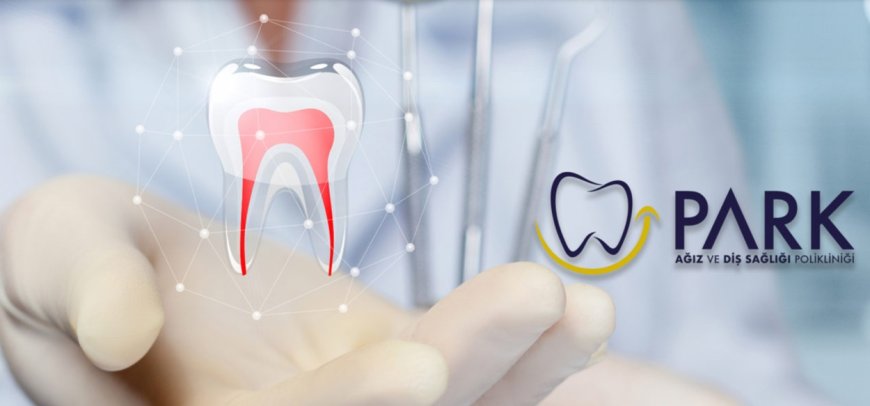 Kuşadası’s Park Dental: Full-Service Polyclinic Prioritizes Aesthetics and Implantology