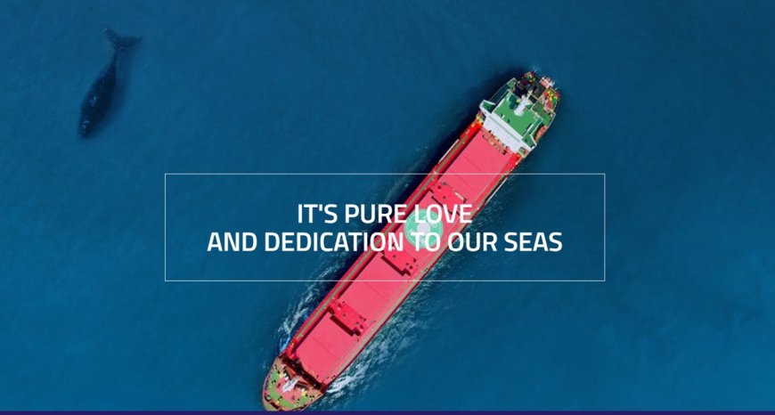 From brick manufacturing to global shipping: The evolution of Canbaz Shipping Group