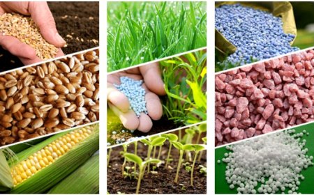 Spektr-Agro boosts Ukraine's farming capacity with global partnerships