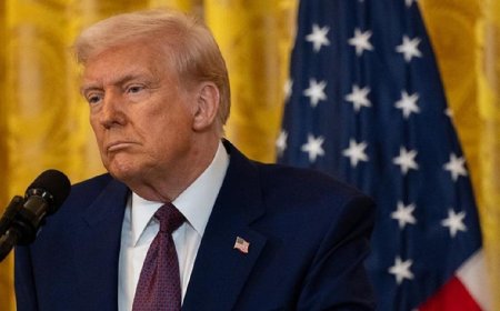 Trump disappointed as Zelenskyy has not yet read US peace plan
