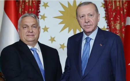 Turkey guarantees Russian gas transit to Hungary during Orban visit