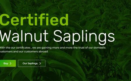 Narlı Botanik expands global footprint with certified walnut sapling exports
