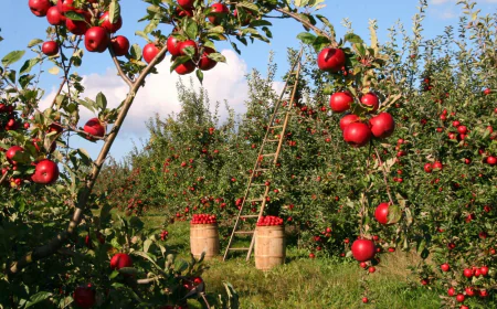 CAST ANB Expands Direct Agricultural Operations in Turkey