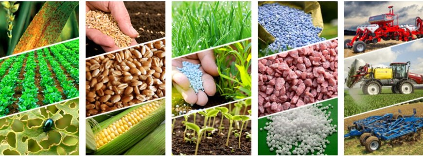 Spektr-Agro boosts Ukraine's farming capacity with global partnerships