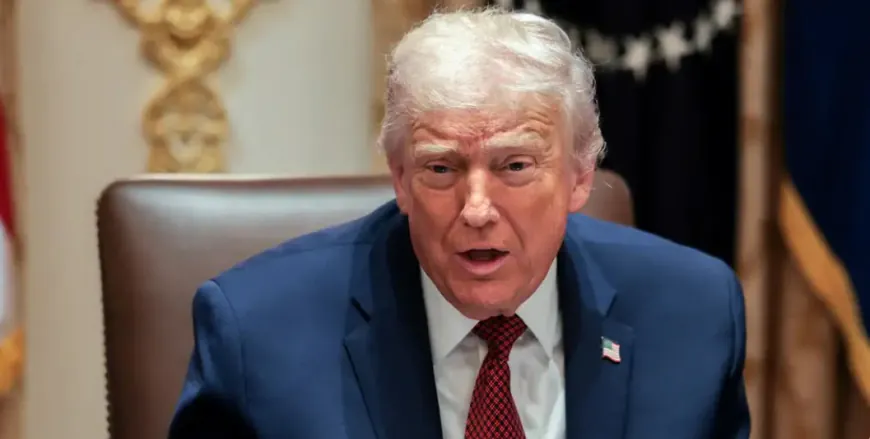 Trump Slams European Leaders: 'Weak' on War and Migration