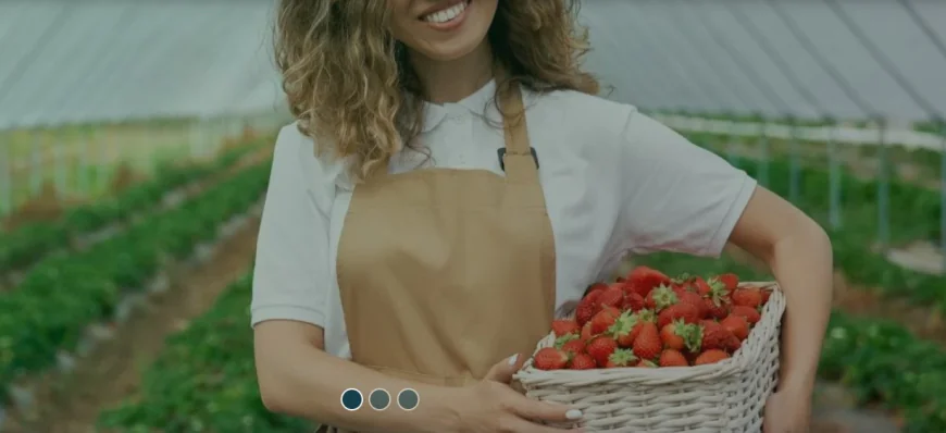 Iska Greenhouse Systems shapes the future of modern agriculture