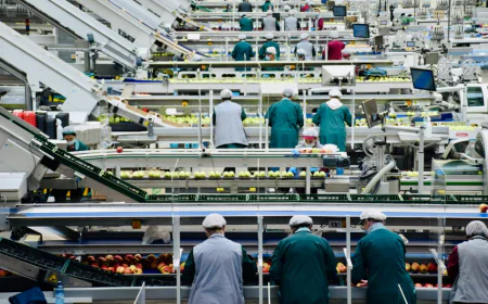 Merkim Chemical expands global reach through strategic exports