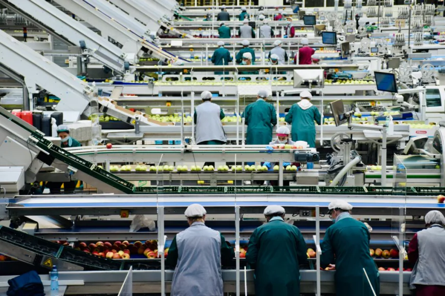 Merkim Chemical expands global reach through strategic exports