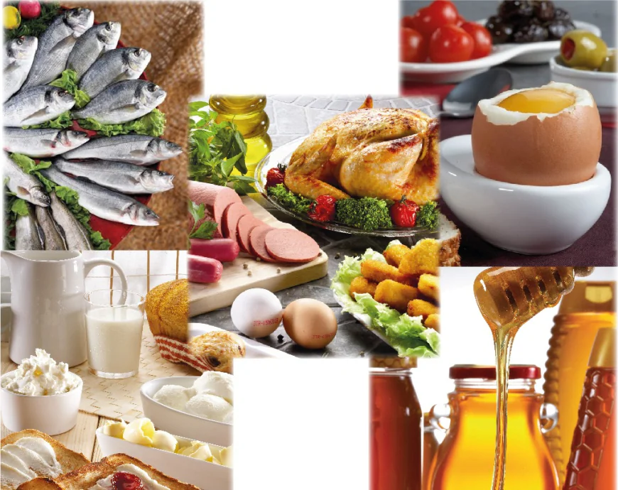 Türkiye’s seafood and animal products exports exceed $4 billion