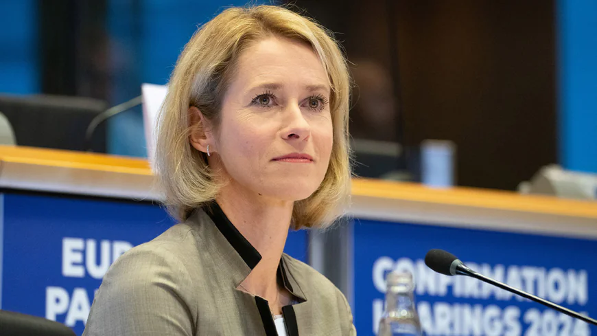 EU's Kallas calls global chaos 'good time to start drinking'