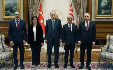 DEM Party delegation meets Erdogan to discuss peace process
