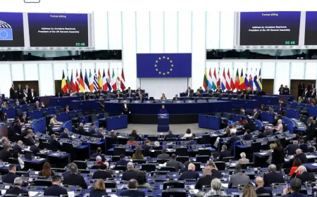 European Parliament's 2026 Report Supports Turkey's Peace Process