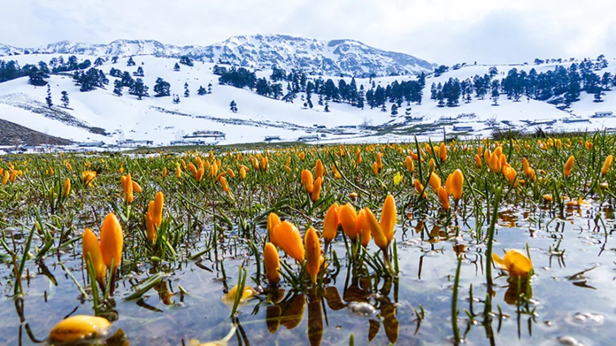 Expert highlights snow’s critical role as future water source