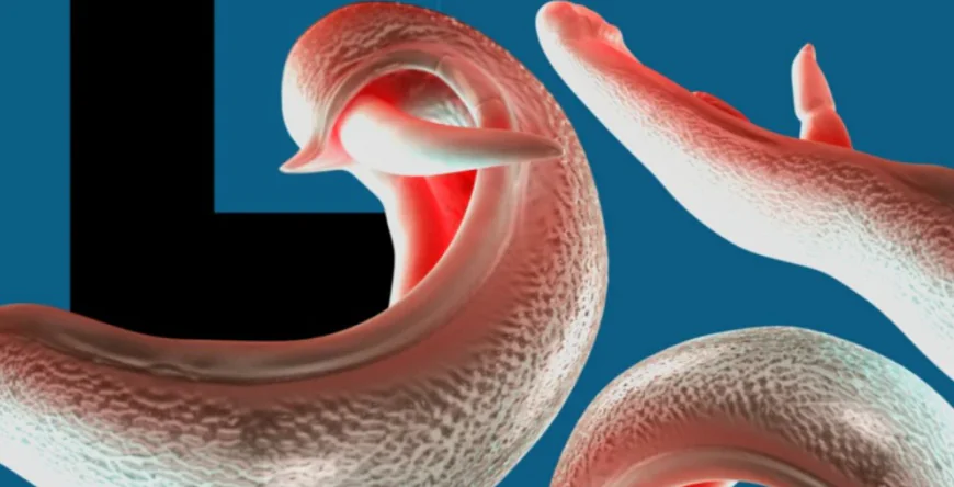 WHO warns schistosomiasis parasite spreading to new countries