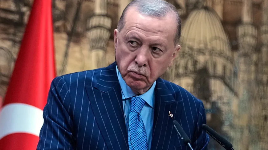 Erdogan speaks on 'Terror-Free Turkey' process: We took all necessary risks