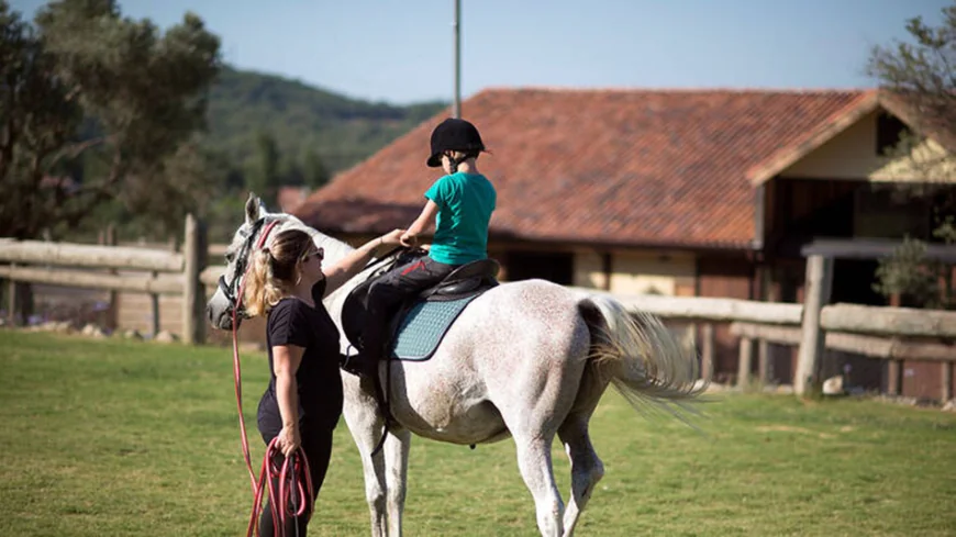 Equestrian Eco-Tourism Booms in Urla: A Comprehensive Guide to Investments and Operations