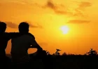 What does friendship mean in a dream?