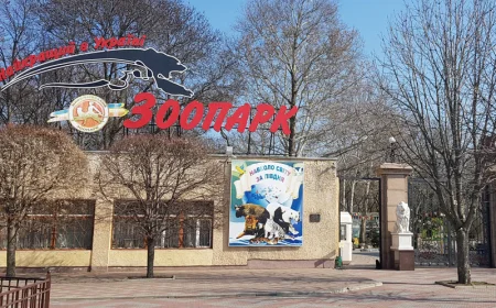Mykolaiv Zoo draws families, but ticket prices strain budgets