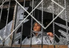 Nushirvan and Caliph Umar: A Lesson in Justice for a Broken World