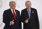 Why did NATO and Trump move now: fear of losing Erdoğan and Türkiye?