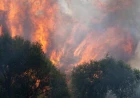 Devastating Wildfires in France and Spain Force 200,000 People to Evacuate