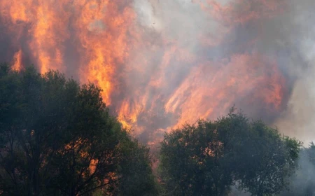 Devastating Wildfires in France and Spain Force 200,000 People to Evacuate