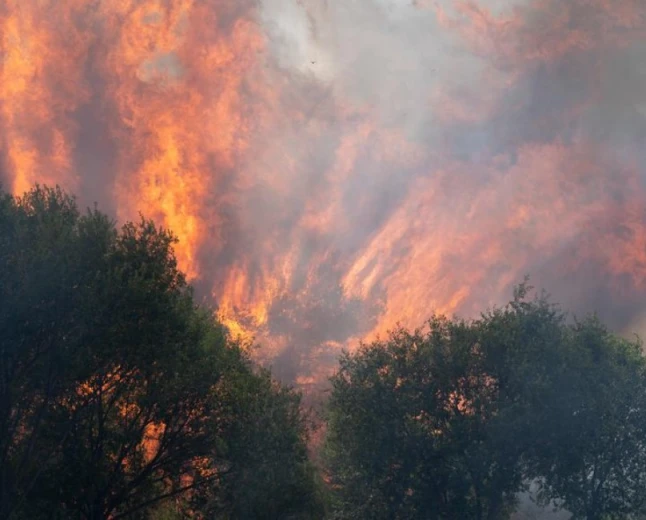 Devastating Wildfires in France and Spain Force 200,000 People to Evacuate