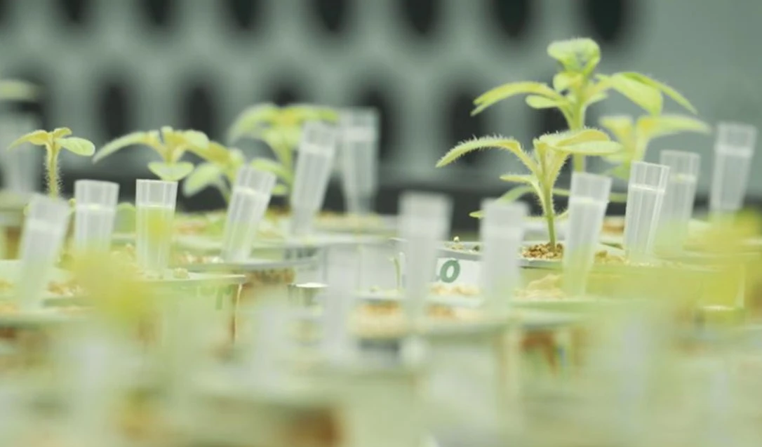How will 10 billion people be fed as the world keeps getting hotter?
