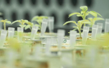 How will 10 billion people be fed as the world keeps getting hotter?