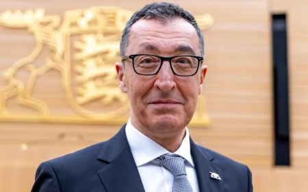 Pistorius und Özdemir fordern AfD-Verbotsverfahren gegen Landesverbände