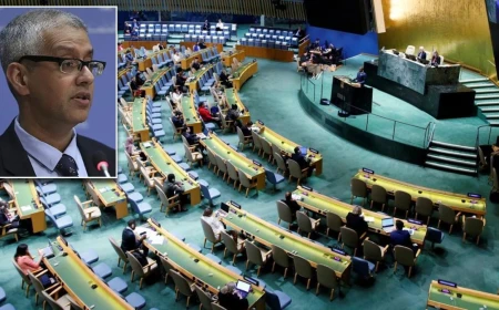 UN supports Türkiye peace efforts after parliament passes framework law