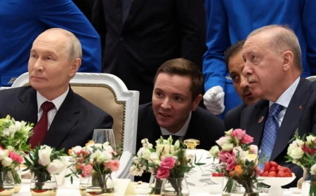 Russia rejects Black Sea moratorium as Türkiye seeks new grain deal