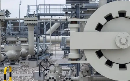 AfD soll Gespräche über russisches Gas und Nord Stream mit Moskau planen