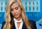 Katie Zacharia’s verbal slip fuels false Trump relationship claim