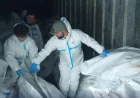 Ukraine receives 252 bodies from Russia as identification process begins