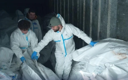 Ukraine receives 252 bodies from Russia as identification process begins