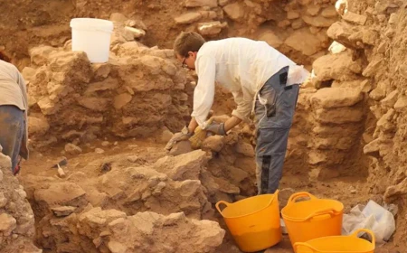 Sayburç's 11,000-year-old carvings draw attention near Göbekli Tepe