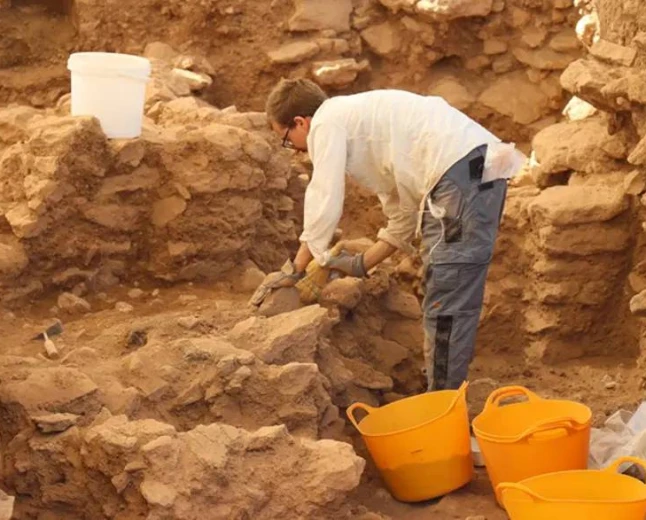 Sayburç's 11,000-year-old carvings draw attention near Göbekli Tepe